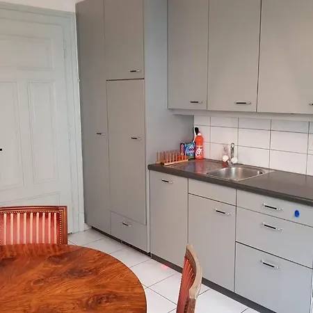 2 Zimmer In Jugendstilwohnung Mit Garten Berna